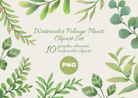 Download Watercolor Foliage Plants Clipart Set - Set Collection