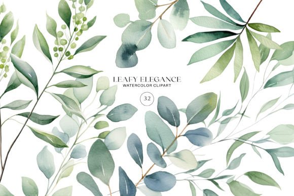 Download Watercolor Eucalyptus Leaf Clipart Set - Set Collection