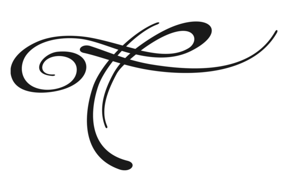 Download Calligraphic Swoosh Element. Ornate Divi - Calligraphic Collection
