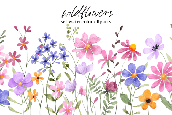 Download Floral Watercolor Set, Flowers, Leaves. - Set Collection